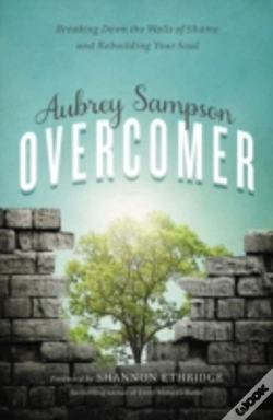 Capa do artigo Overcomer