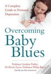 Capa do artigo Overcoming Baby Blues