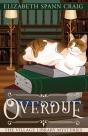 Overdue - Preview