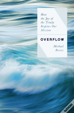 Capa do artigo Overflow