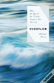 Capa do artigo Overflow