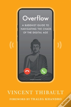 Capa do artigo Overflow