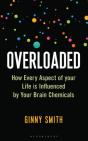Overloaded - Preview
