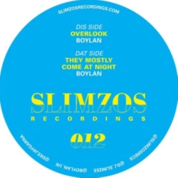 Capa do artigo Overlook/Mostly Come at Night - Vinil