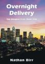 Overnight Delivery: The Douglas Files: Book One - Preview