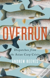 Capa do artigo Overrun