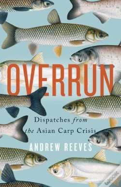 Capa do artigo Overrun