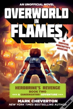 Capa do artigo Overworld In Flames