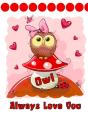 Owl Always Love You: Discreet Internet W - Preview