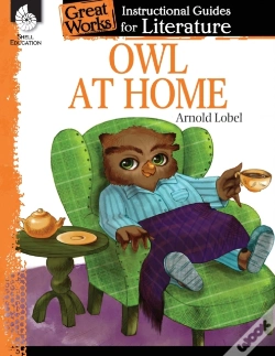Capa do artigo Owl At Home
