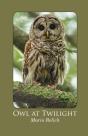 Owl At Twilight - Preview
