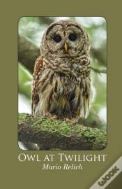 Capa do artigo Owl At Twilight