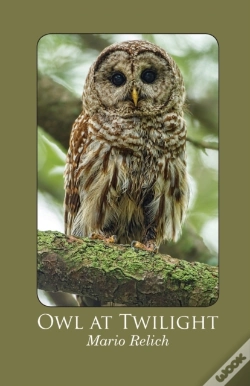Capa do artigo Owl At Twilight