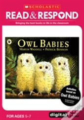 Owl Babies