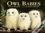 Owl Babies