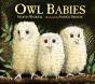 Owl Babies - Preview