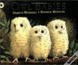 Capa do artigo Owl Babies