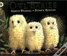 Owl Babies