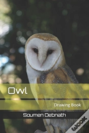 Capa do artigo Owl