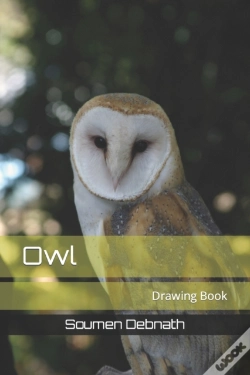 Capa do artigo Owl