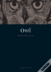Capa do artigo Owl