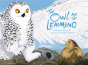 Owl & The Lemming English - Preview
