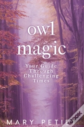 Capa do artigo Owl Magic