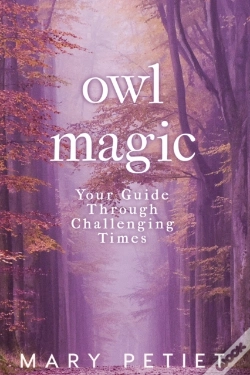 Capa do artigo Owl Magic
