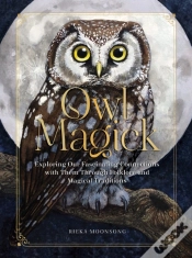 Capa do artigo Owl Magick