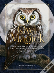 Capa do artigo Owl Magick