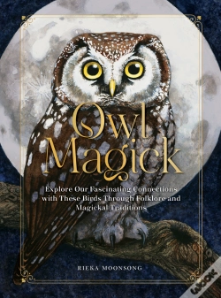 Capa do artigo Owl Magick