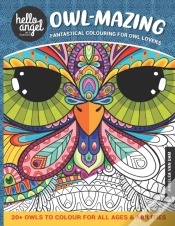 Capa do artigo Owl-Mazing