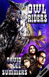 Capa do artigo Owl Riders
