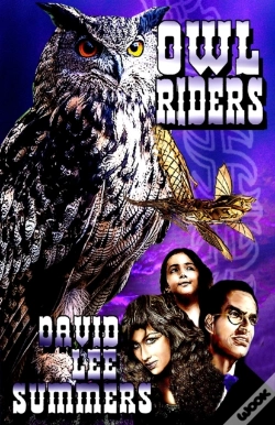 Capa do artigo Owl Riders