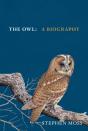 Owl - Preview