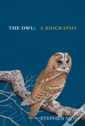 Capa do artigo Owl