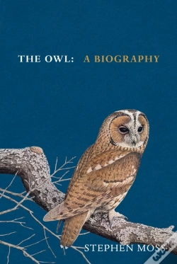 Capa do artigo Owl