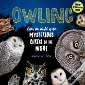 Capa do artigo Owling