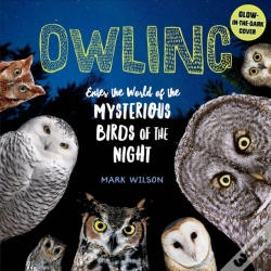 Capa do artigo Owling