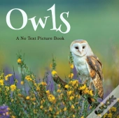 Owls, A No Text Picture Book
