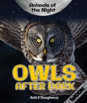 Capa do artigo Owls After Dark