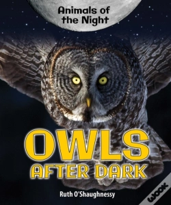 Capa do artigo Owls After Dark