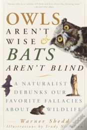 Capa do artigo Owls Aren