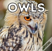 Owls Calendar 2022