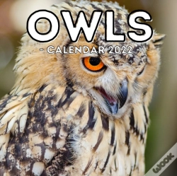 Capa do artigo Owls Calendar 2022