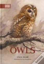 Owls