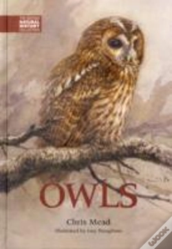 Capa do artigo Owls
