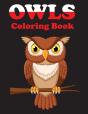 Owls Coloring Book - Preview