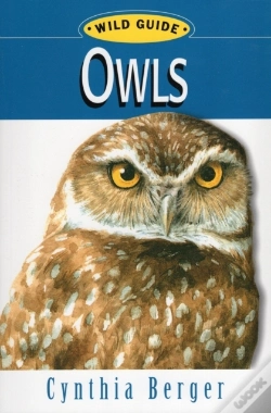 Capa do artigo Owls