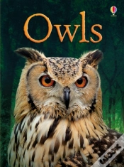 Capa do artigo Owls